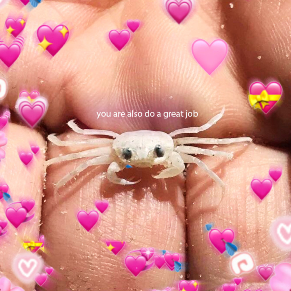 Meet your Posher, Sar